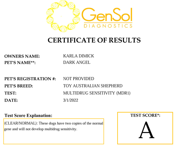 Elmo's Dark Angel @ Shade Tree Aussies MDR1 test result.