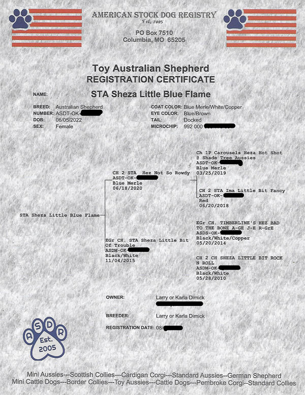 AKC Registration for Sheza Little Blue Flame.