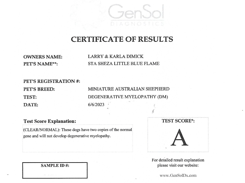 Flame is clear for Degenerative Myelopathy.
