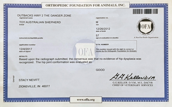 Kibo's Orthopedic Foundation for Animals, Inc hip certification.&nbsp;