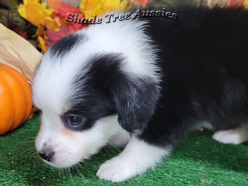This little girl loves her treats. 