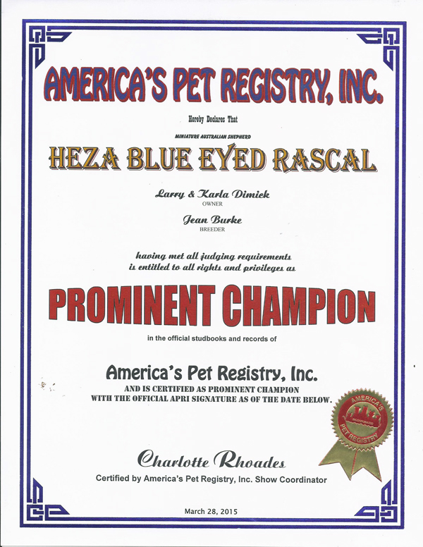 Rascal's Prominent Championship from APRI. Rascal's Prominent Championship from APRI.