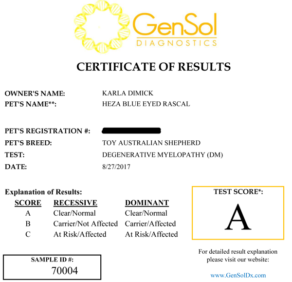 Rascal's test results for DM - Degenerative Myelopathy Rascal's test results for DM - Degenerative Myelopathy