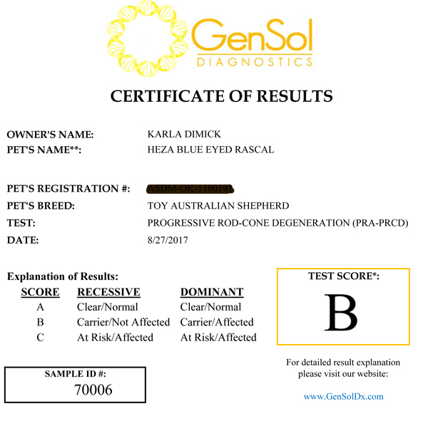 Rascal's test results for PRA = Progressive Retinal Atrophy Rascal's test results for PRA = Progressive Retinal Atrophy