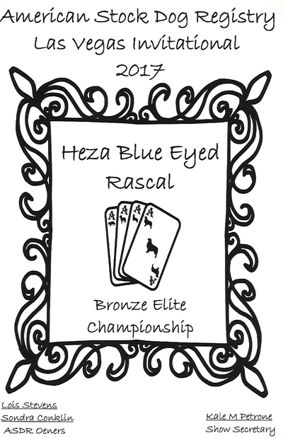 Rascal's Bronze Elite Title from ASDR Rascal's Bronze Elite Title from ASDR