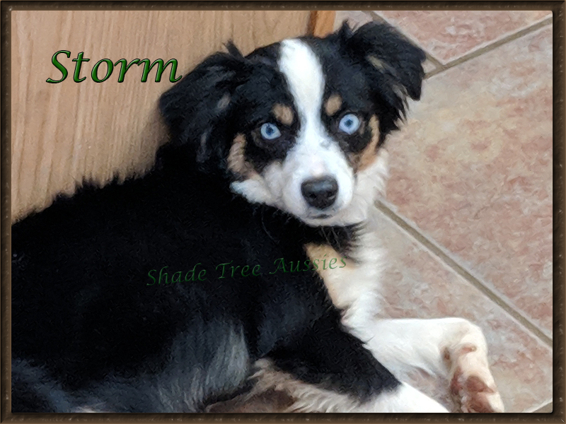 Storm has a really good "off switch" and know how to relax and enjoy life too.